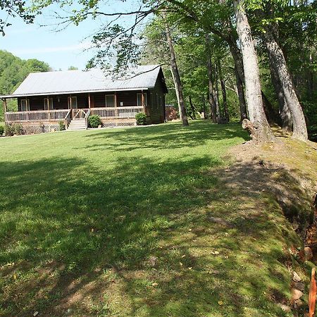 Climbing Bear Creekside Cabin Villa Whittier Dış mekan fotoğraf